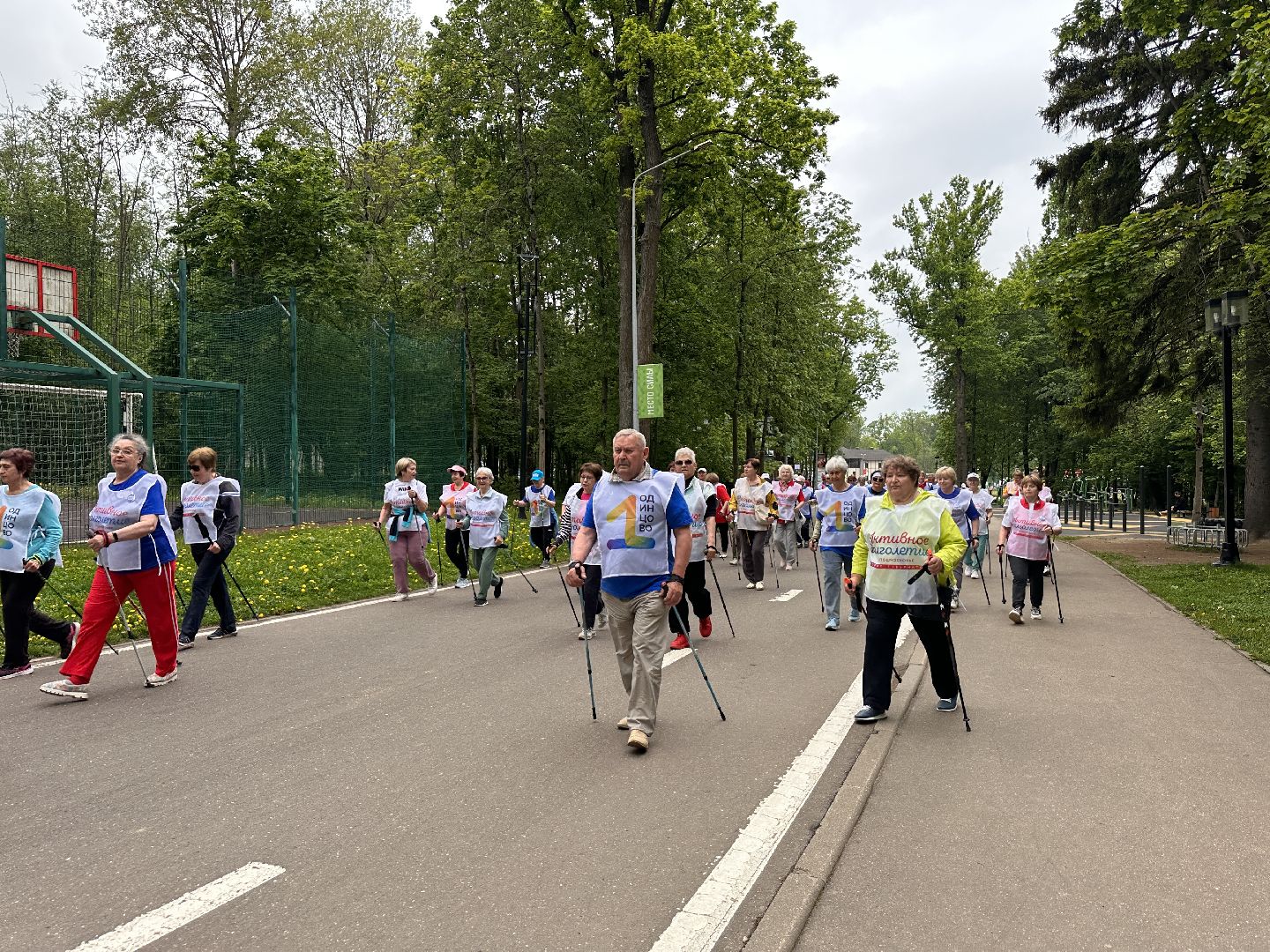 Одинцово, Активное Долголетие, Северная ходьба, Шаги Здоровья
