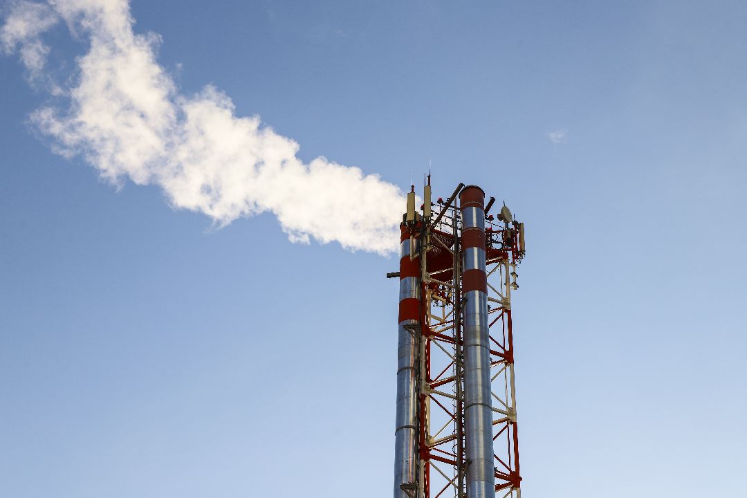 Домодедово, образование