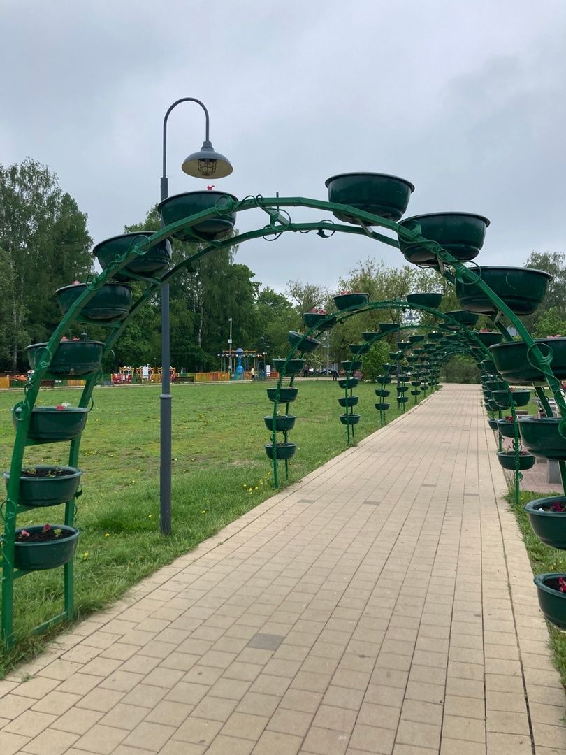 Солнечногорск, фестиваль, культура, сирень, парк