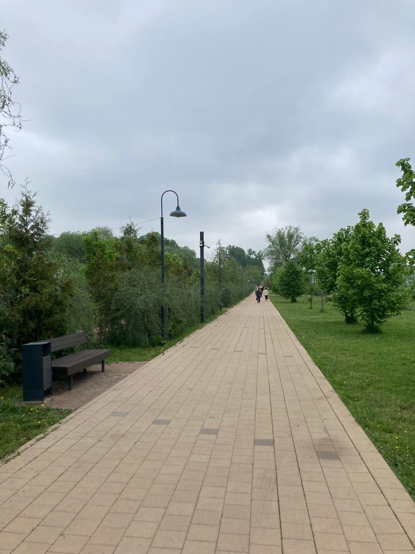 Солнечногорск, фестиваль, культура, сирень, парк