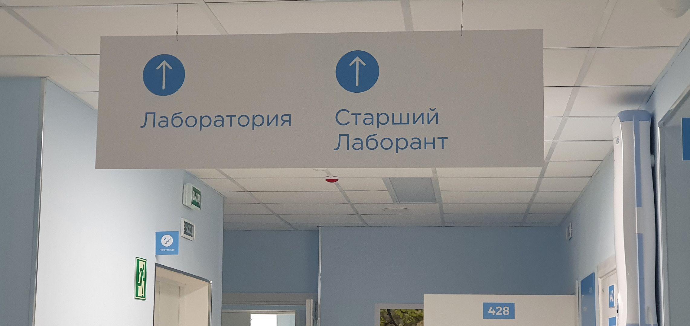 ДЦГБ, лаборатория, Домодедово