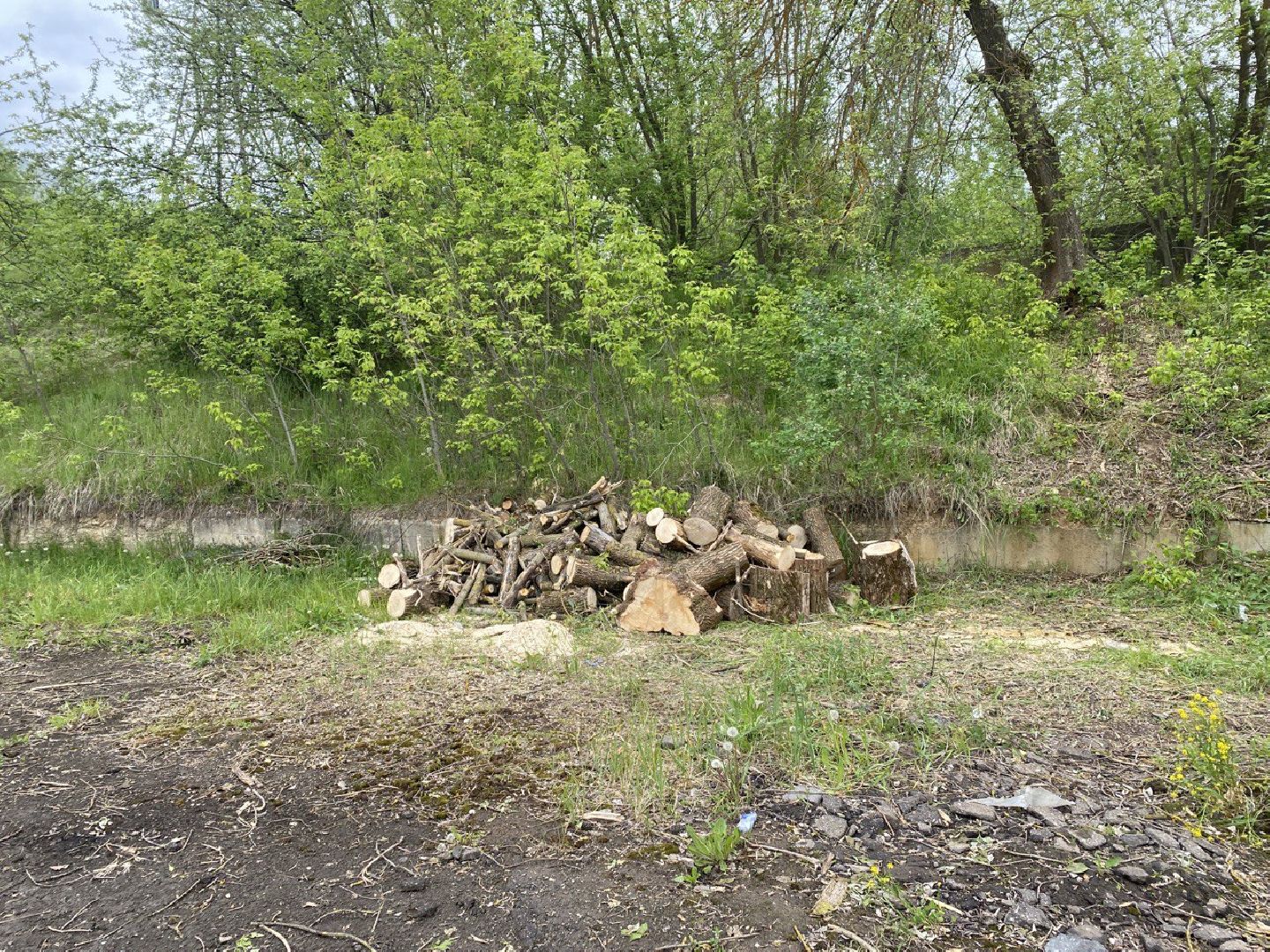 Чехов, благоустройство, ремонт, дорога, парковка, Энергомаш