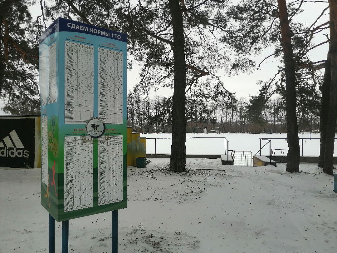 Протвино, спорт