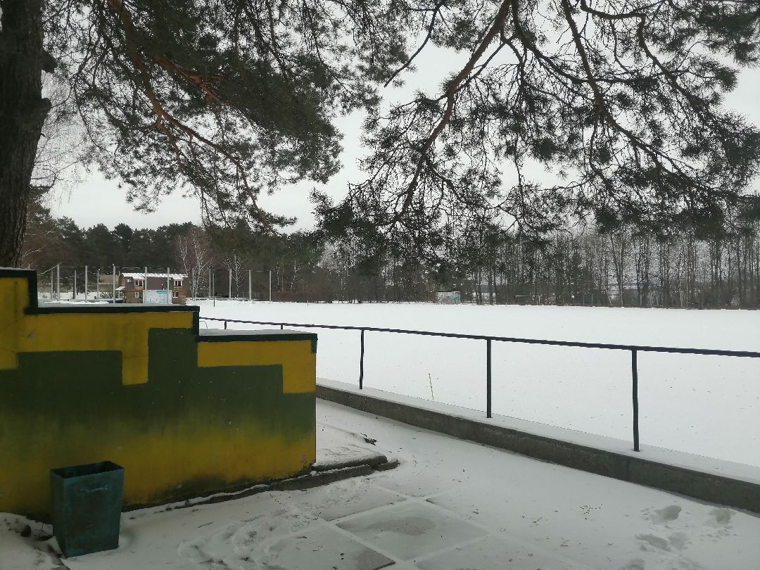 Протвино, спорт