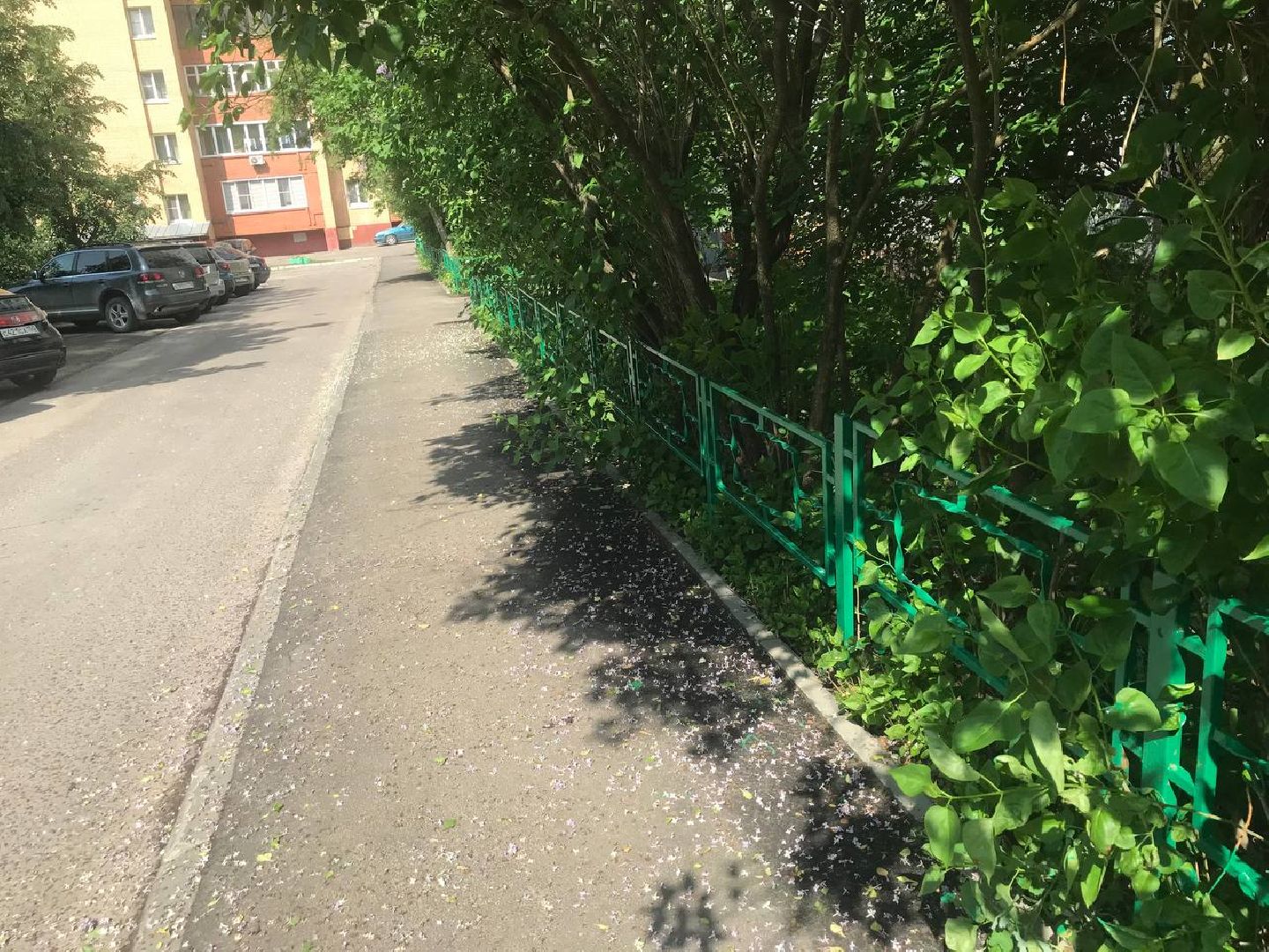 Коломна, Благоустройство, Заборы