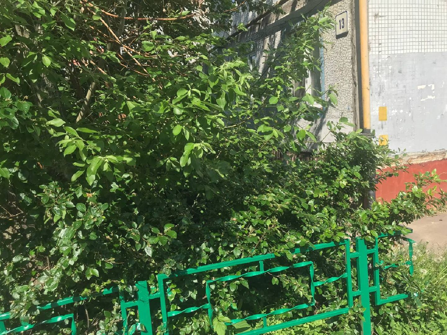 Коломна, Благоустройство, Заборы