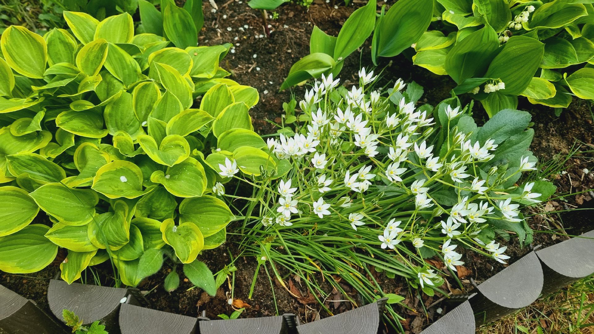 Подмосковье, Ивантеевка, благоустройство, общество