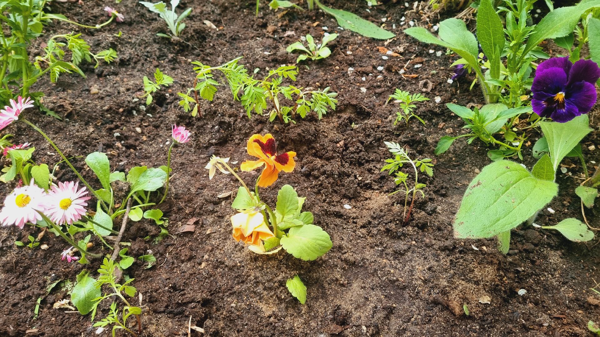 Подмосковье, Ивантеевка, благоустройство, общество