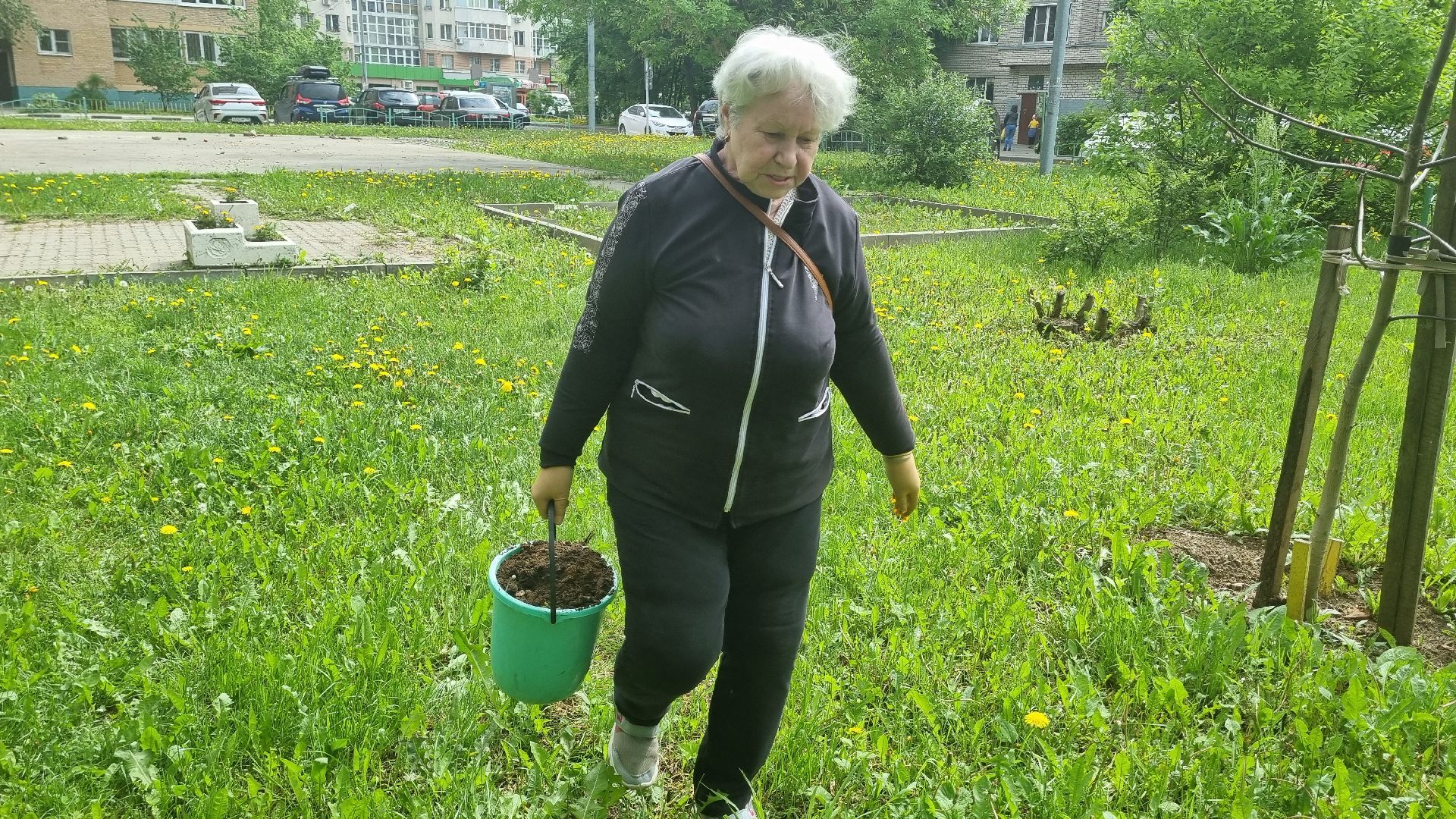 Подмосковье, Ивантеевка, благоустройство, общество