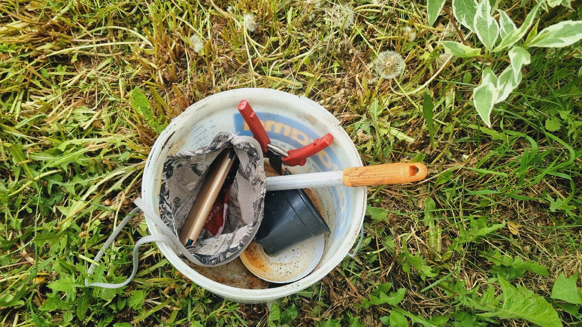 Подмосковье, Ивантеевка, благоустройство, общество