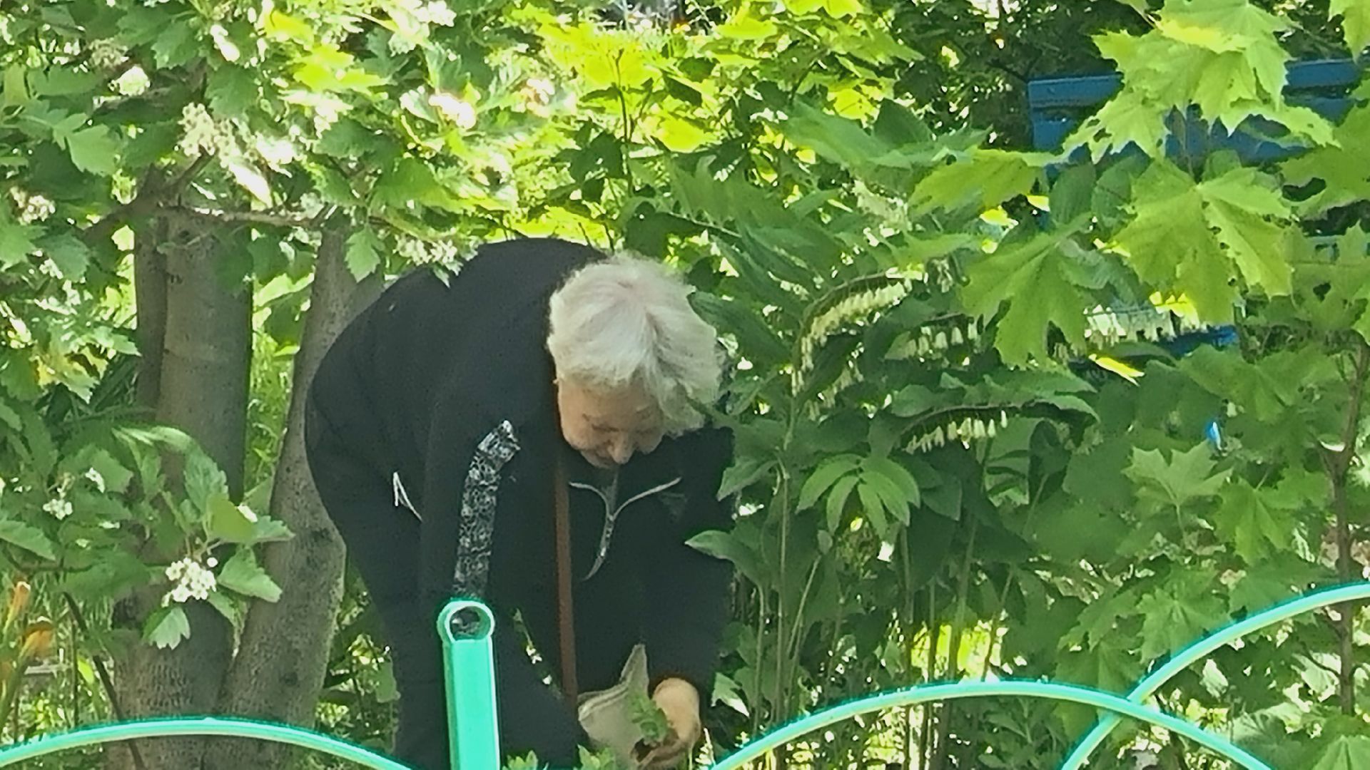 Подмосковье, Ивантеевка, благоустройство, общество