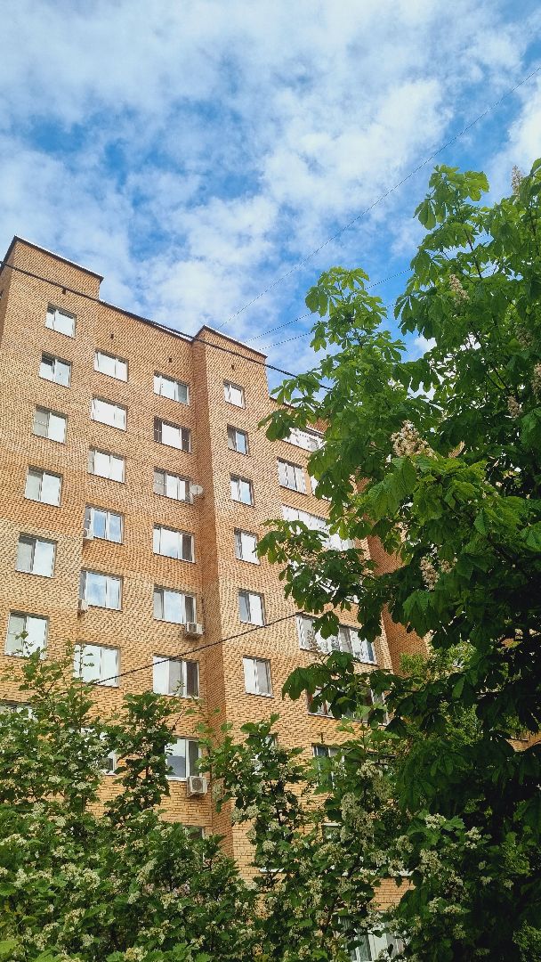 Подмосковье, Ивантеевка, благоустройство, общество