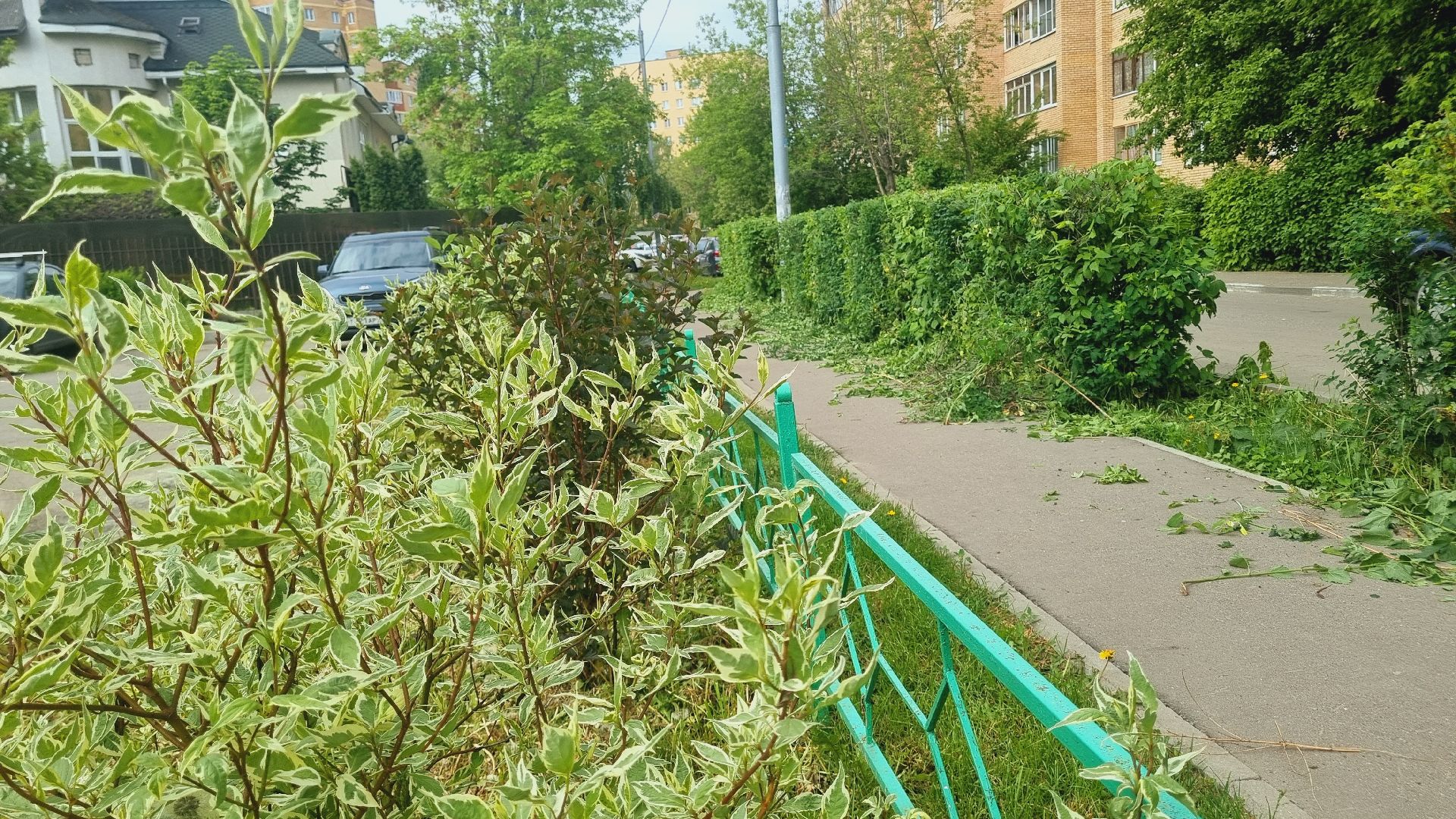 Подмосковье, Ивантеевка, благоустройство, общество