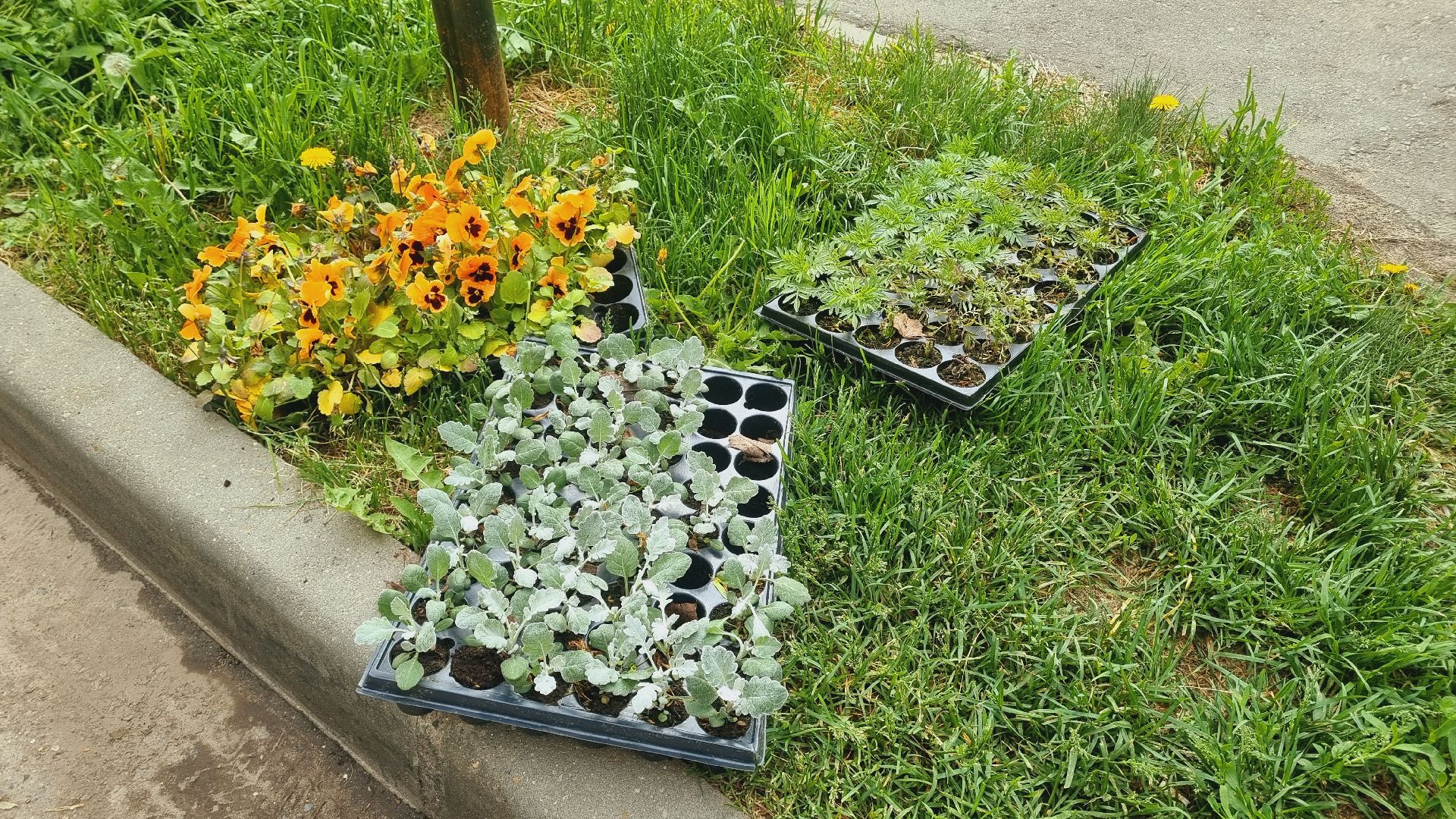 Подмосковье, Ивантеевка, благоустройство, общество