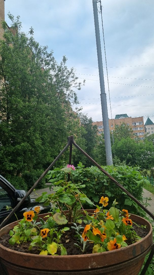 Подмосковье, Ивантеевка, благоустройство, общество