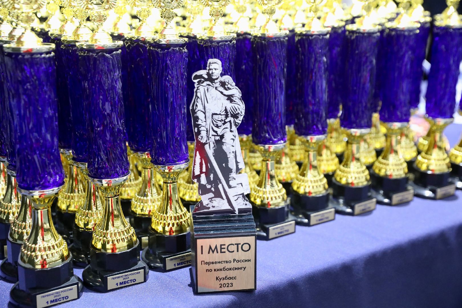 Реутов, спорт, кикбоксинг, Алексей Папин, Чемпионат России