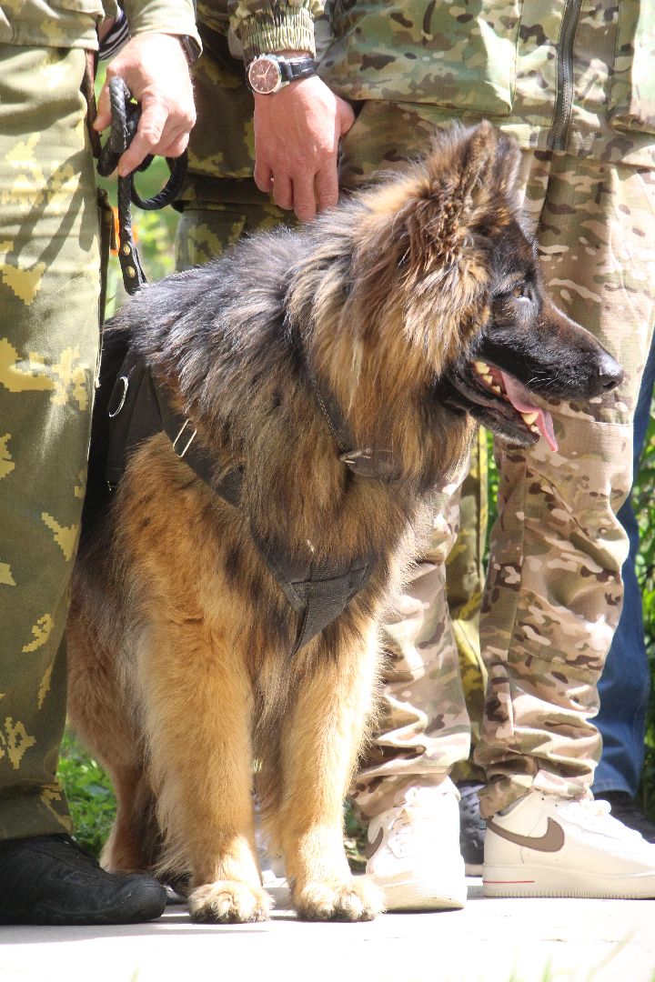 День пограничника, Протвино, Закладной камень, военные, праздник