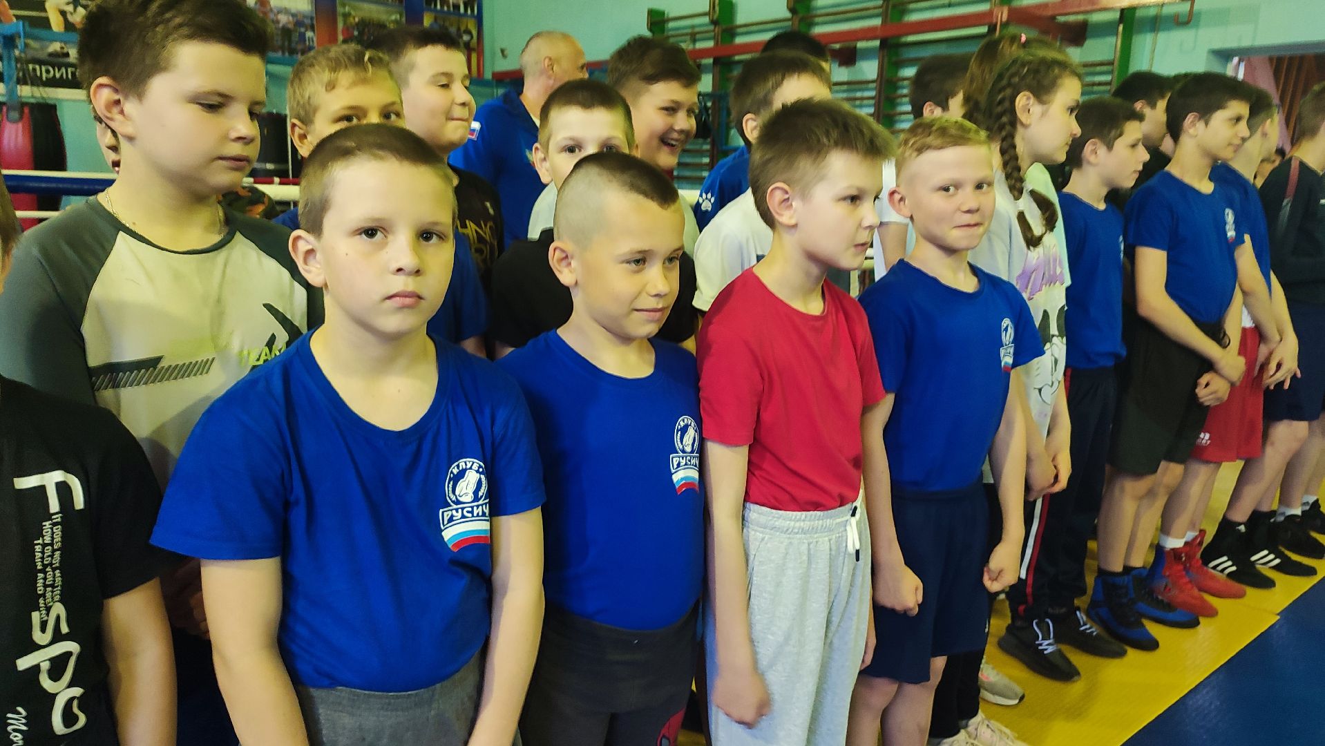 Кашира, Ожерелье, Русич, бокс, спорт