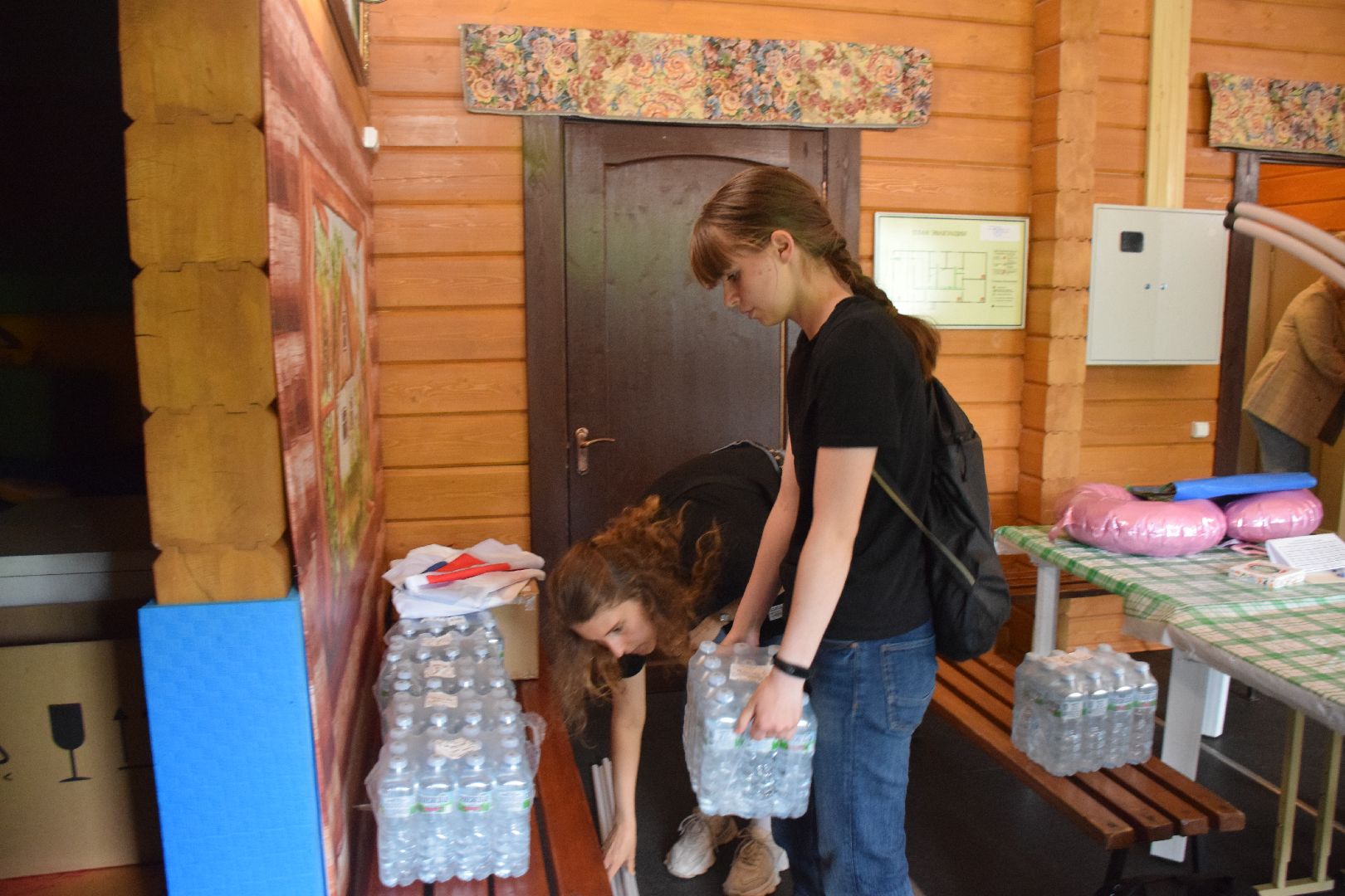 Павловский Посад, городской округ Павловский Посад, грант, общество, история