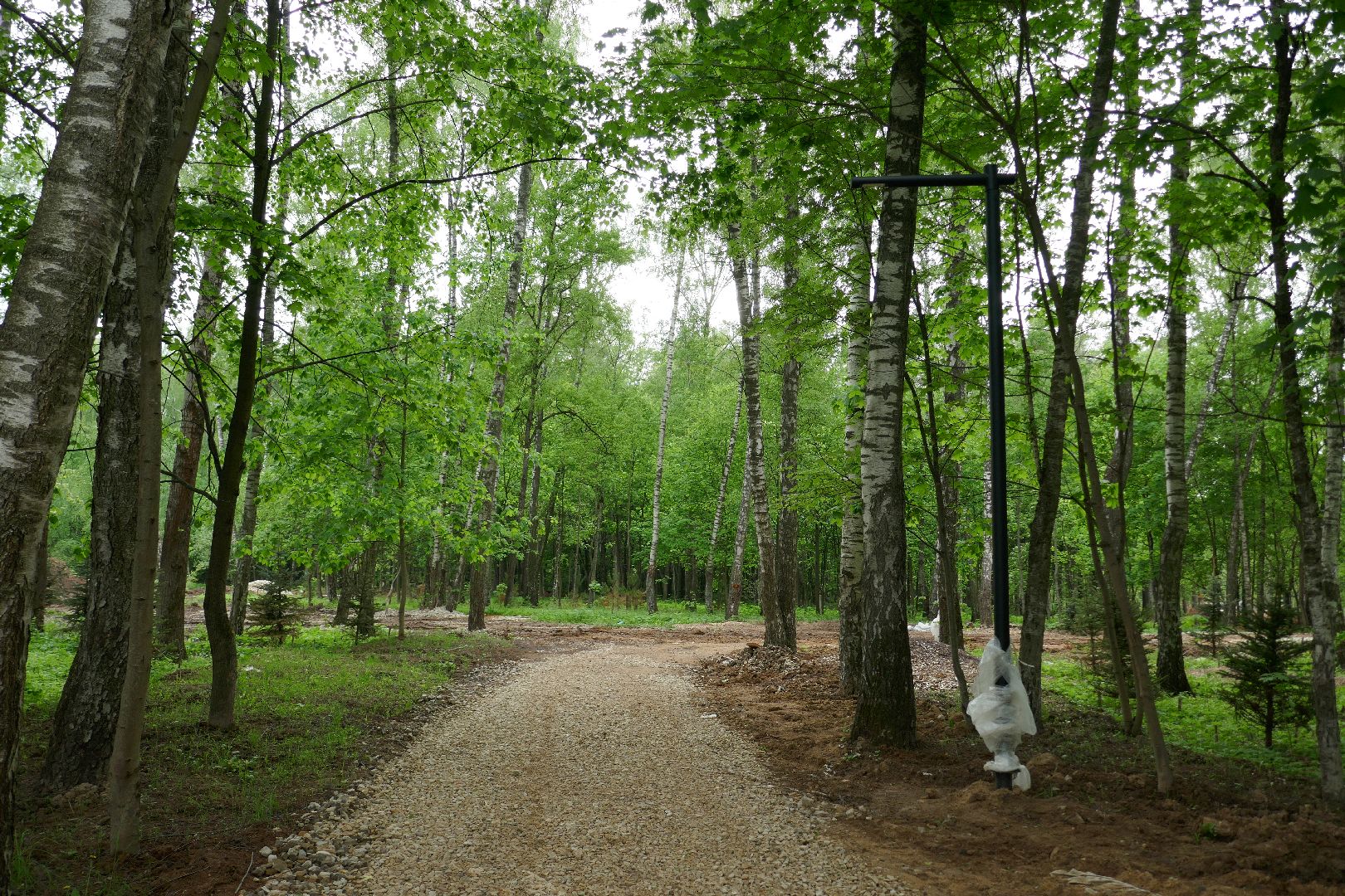 Подольск, лыжи, спорт, ролики, Дубровицы