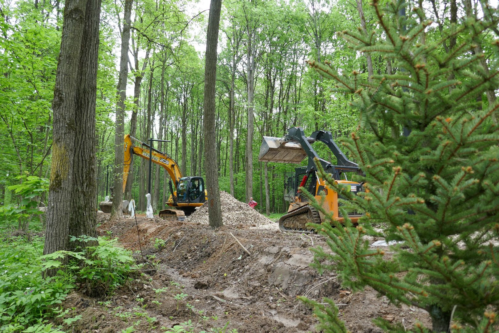 Подольск, лыжи, спорт, ролики, Дубровицы