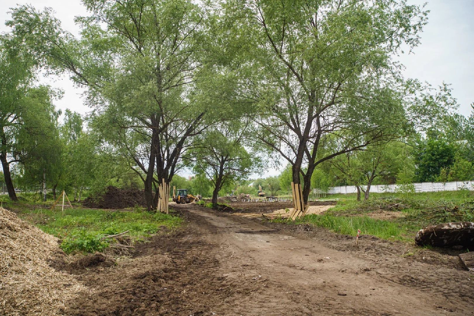 Благоустройство, губернатор, парк, эко-парк, благоустройство, Орехово-Зуево, Куровское, Заголовацкий