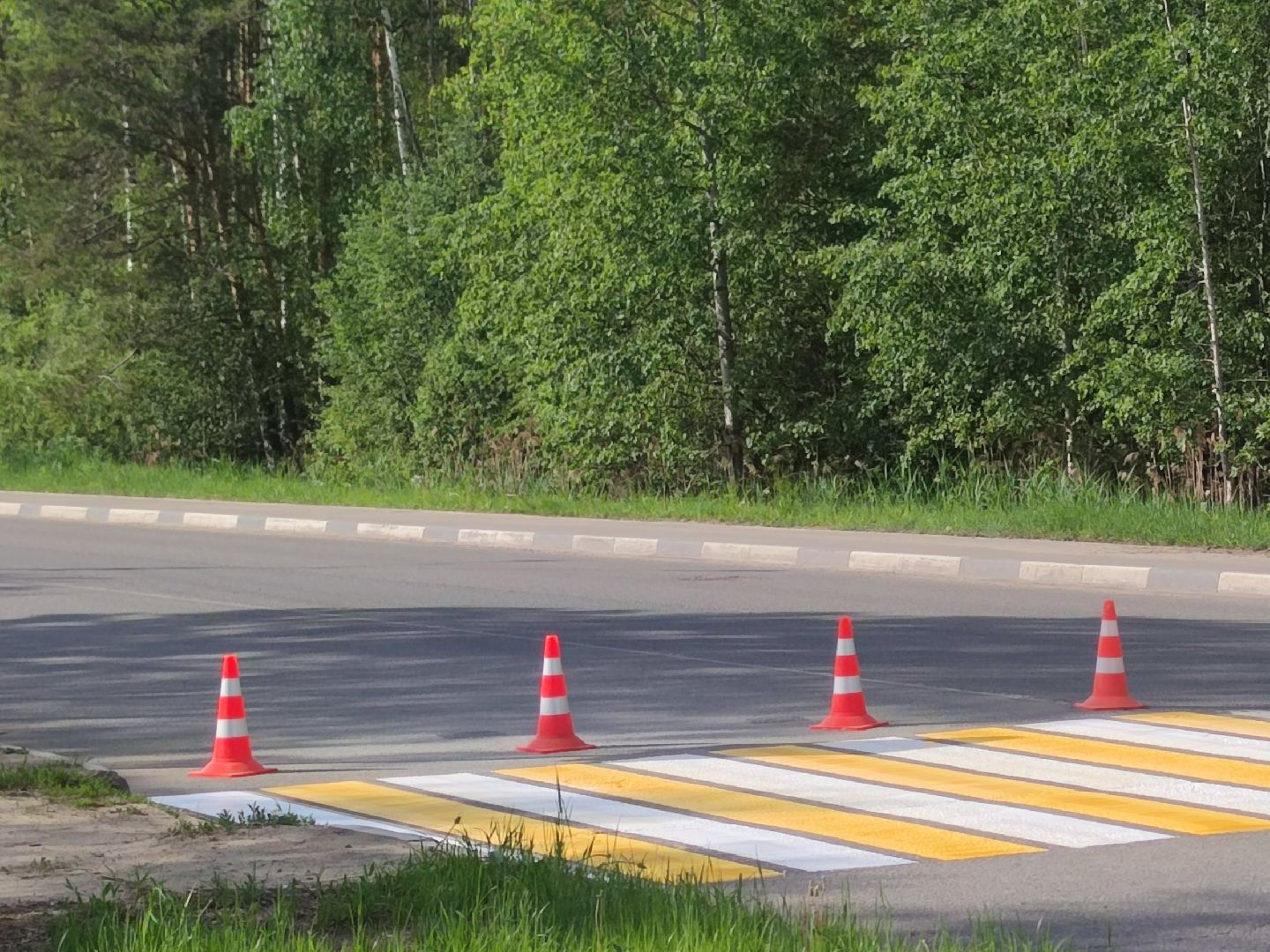 Дорожная разметка, обновление, пешеходный переход, Дубна