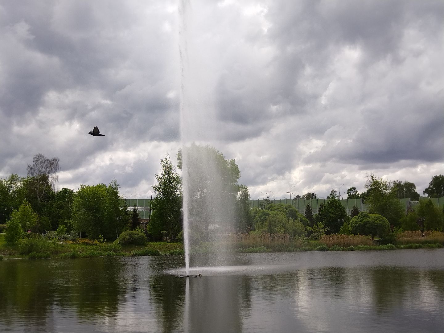 Благоустройство, парки, парковый ответ, Мытищи