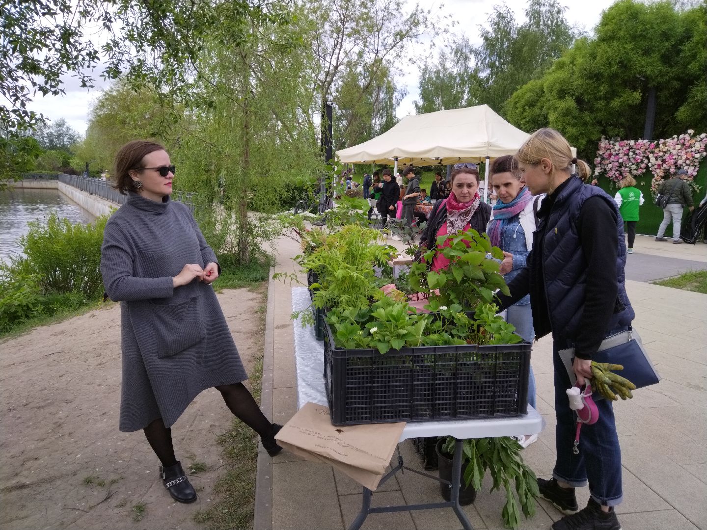 Благоустройство, парки, парковый ответ, Мытищи