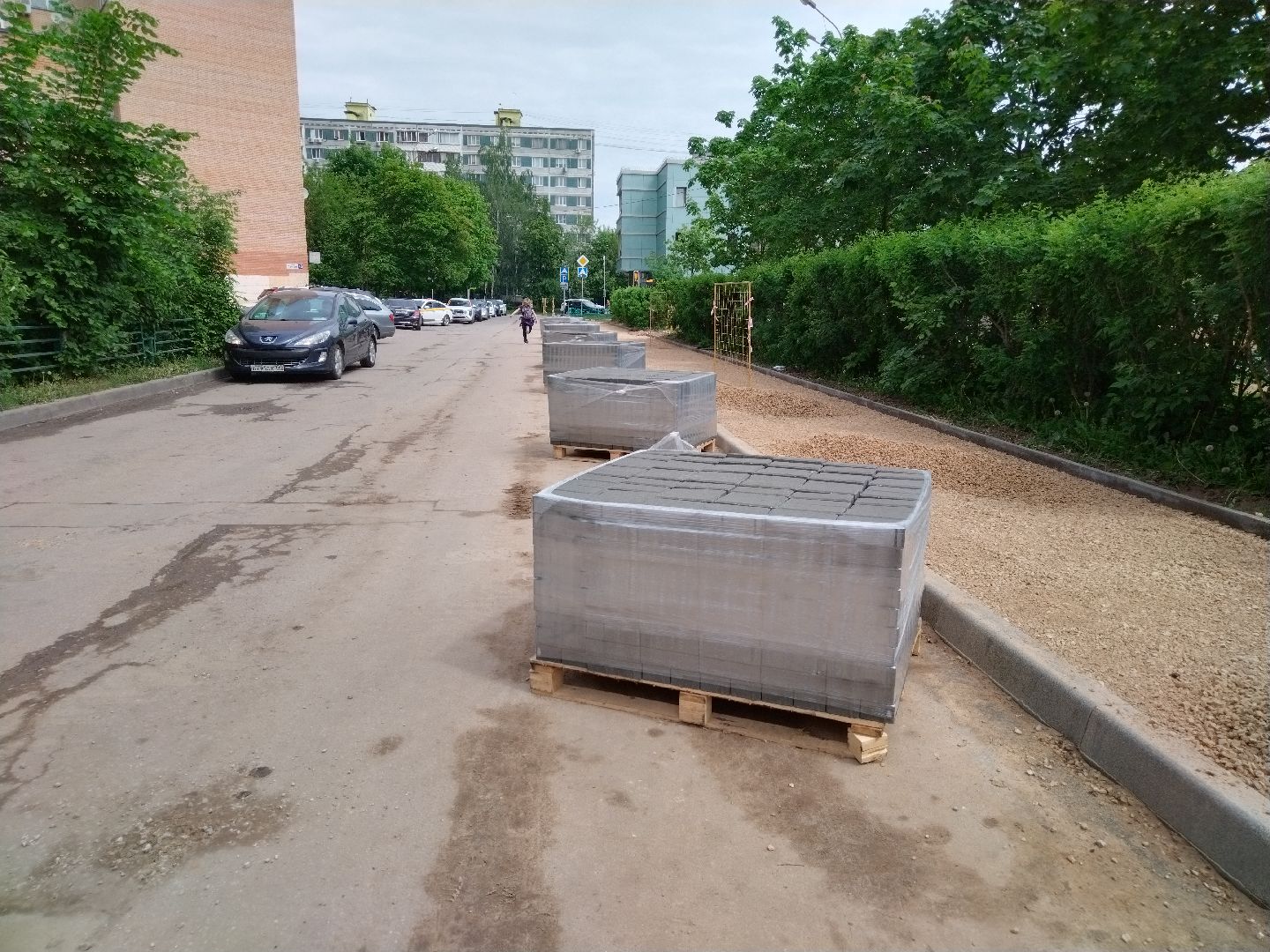 Благоустройство, народное голосование, Мытищи, Алексеевский пруд, Сукромка, Борисовка