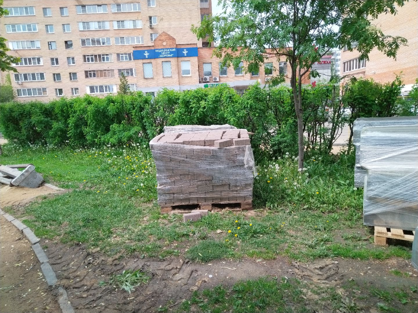 Благоустройство, народное голосование, Мытищи, Алексеевский пруд, Сукромка, Борисовка