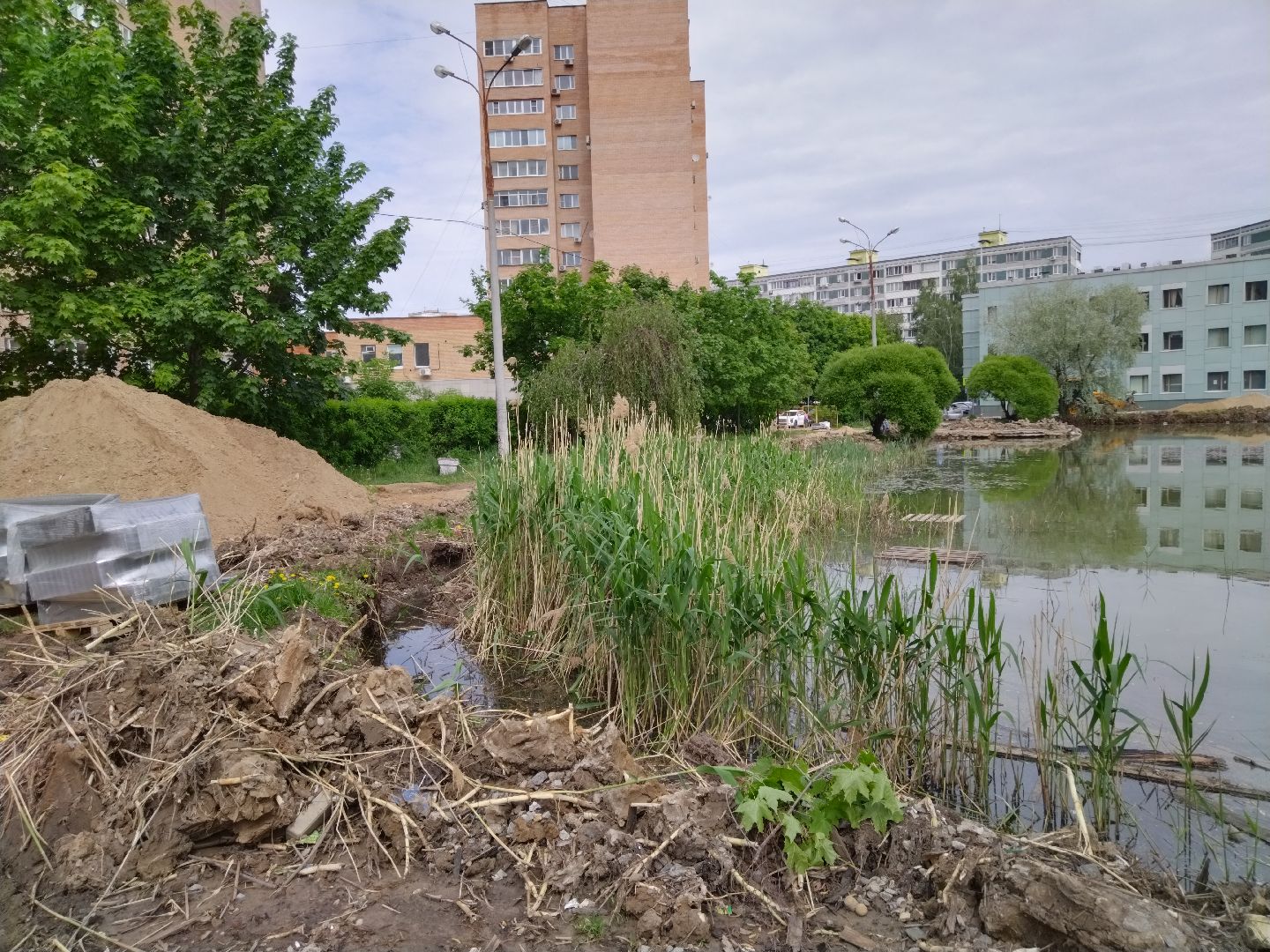 Благоустройство, народное голосование, Мытищи, Алексеевский пруд, Сукромка, Борисовка