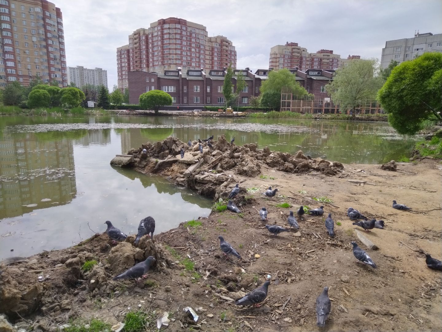 Благоустройство, народное голосование, Мытищи, Алексеевский пруд, Сукромка, Борисовка