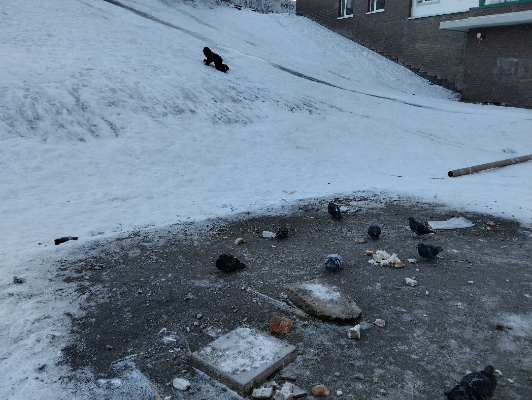 Красногорск