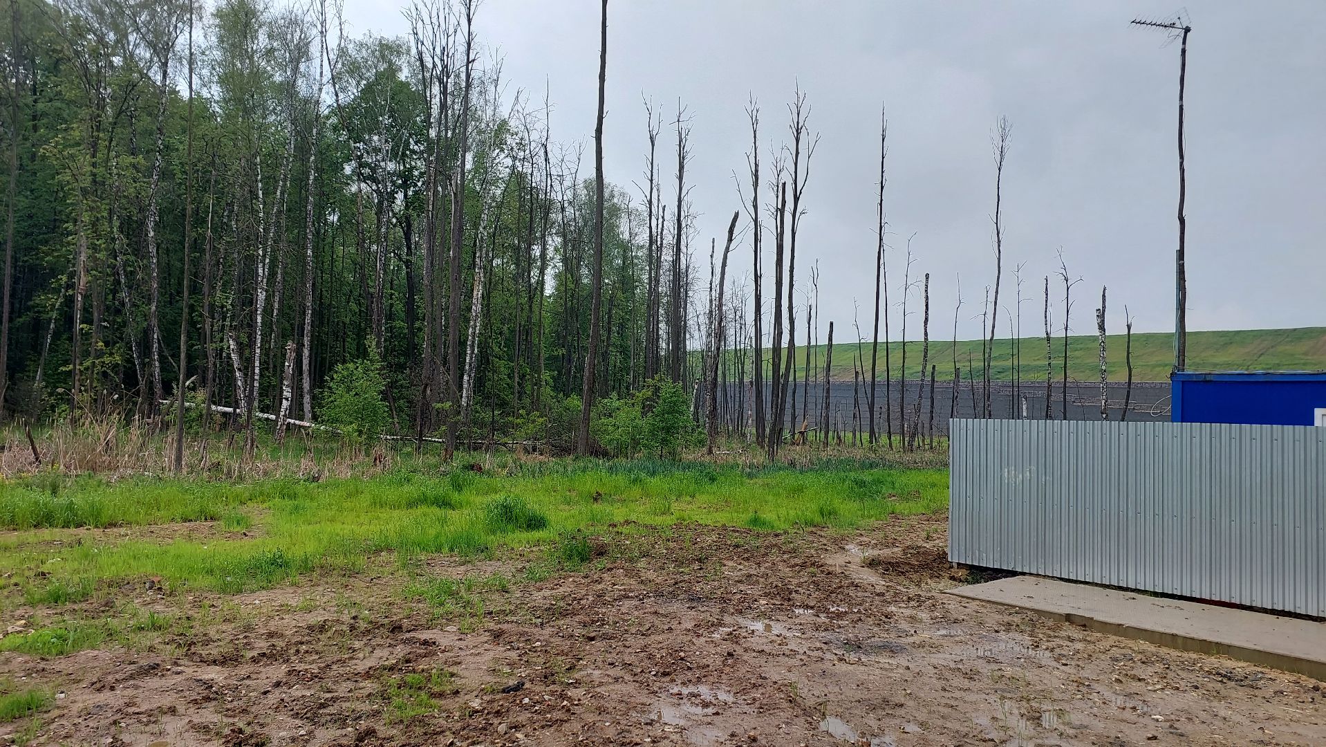 экология, экскурсии, полигон ТБО, Съяново, Серпухов, рекультивация,