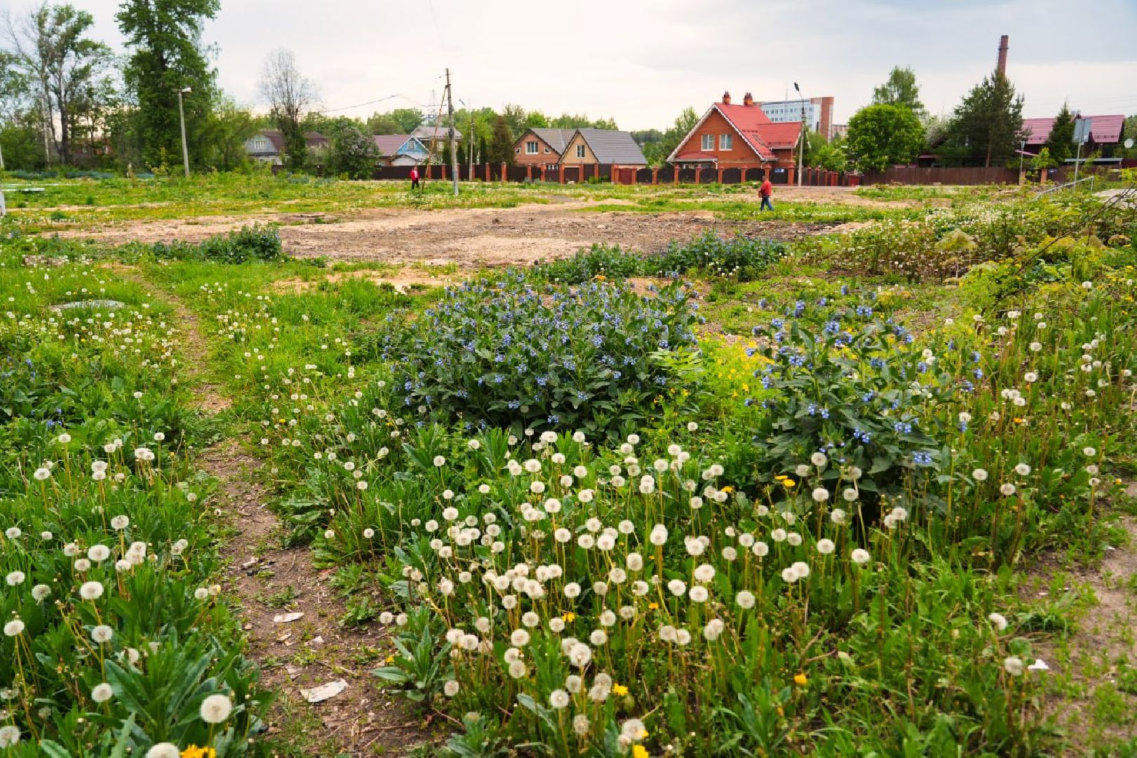Сергиево-Посадский городской округ, Сергиев Посад, Благоустройство, Перемены, Выбор жителей, Общественное пространство