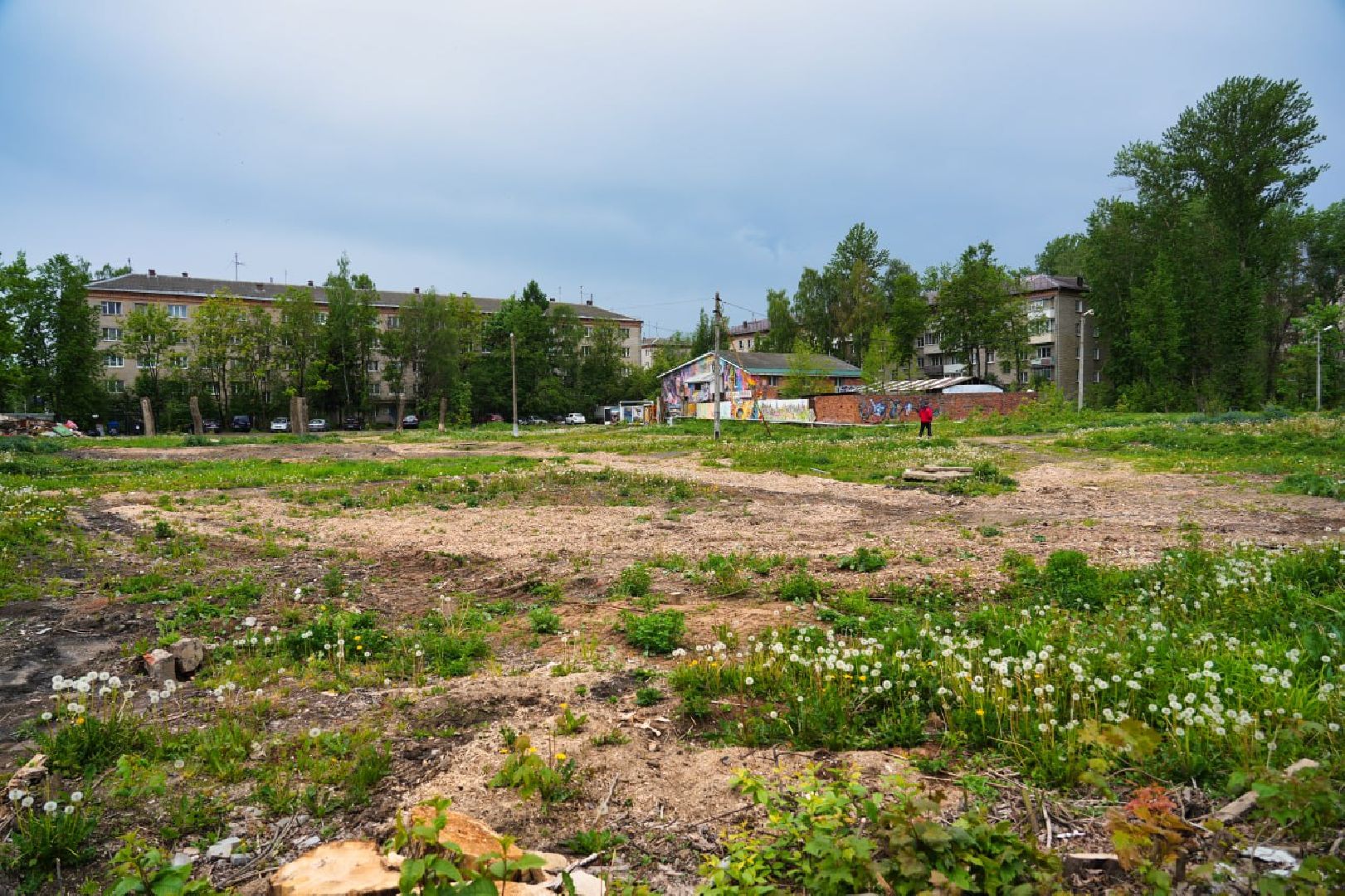 Сергиево-Посадский городской округ, Сергиев Посад, Благоустройство, Перемены, Выбор жителей, Общественное пространство