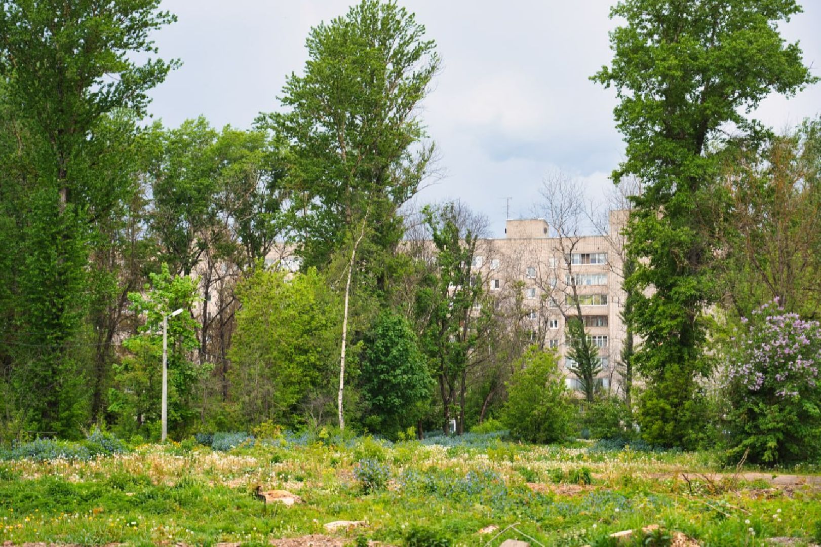 Сергиево-Посадский городской округ, Сергиев Посад, Благоустройство, Перемены, Выбор жителей, Общественное пространство