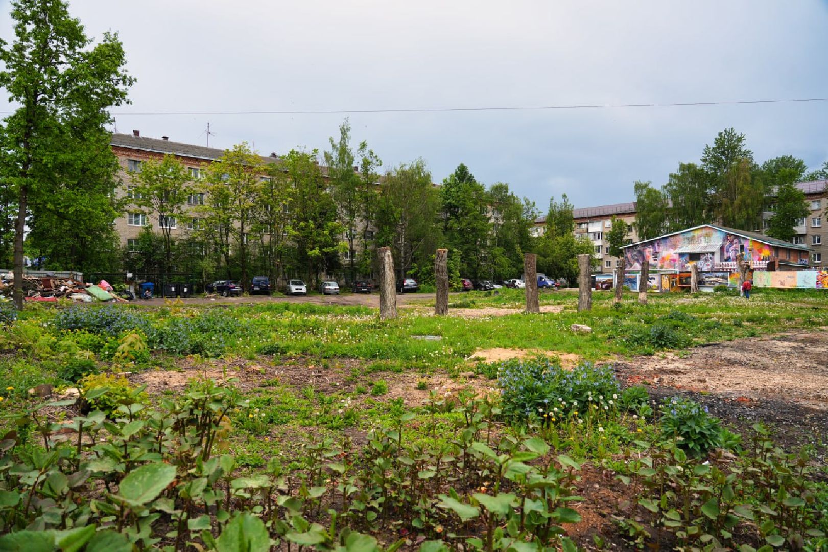 Сергиево-Посадский городской округ, Сергиев Посад, Благоустройство, Перемены, Выбор жителей, Общественное пространство