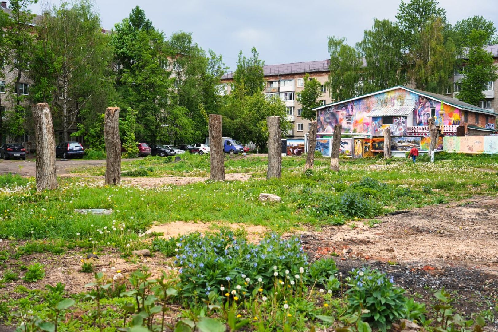 Сергиево-Посадский городской округ, Сергиев Посад, Благоустройство, Перемены, Выбор жителей, Общественное пространство