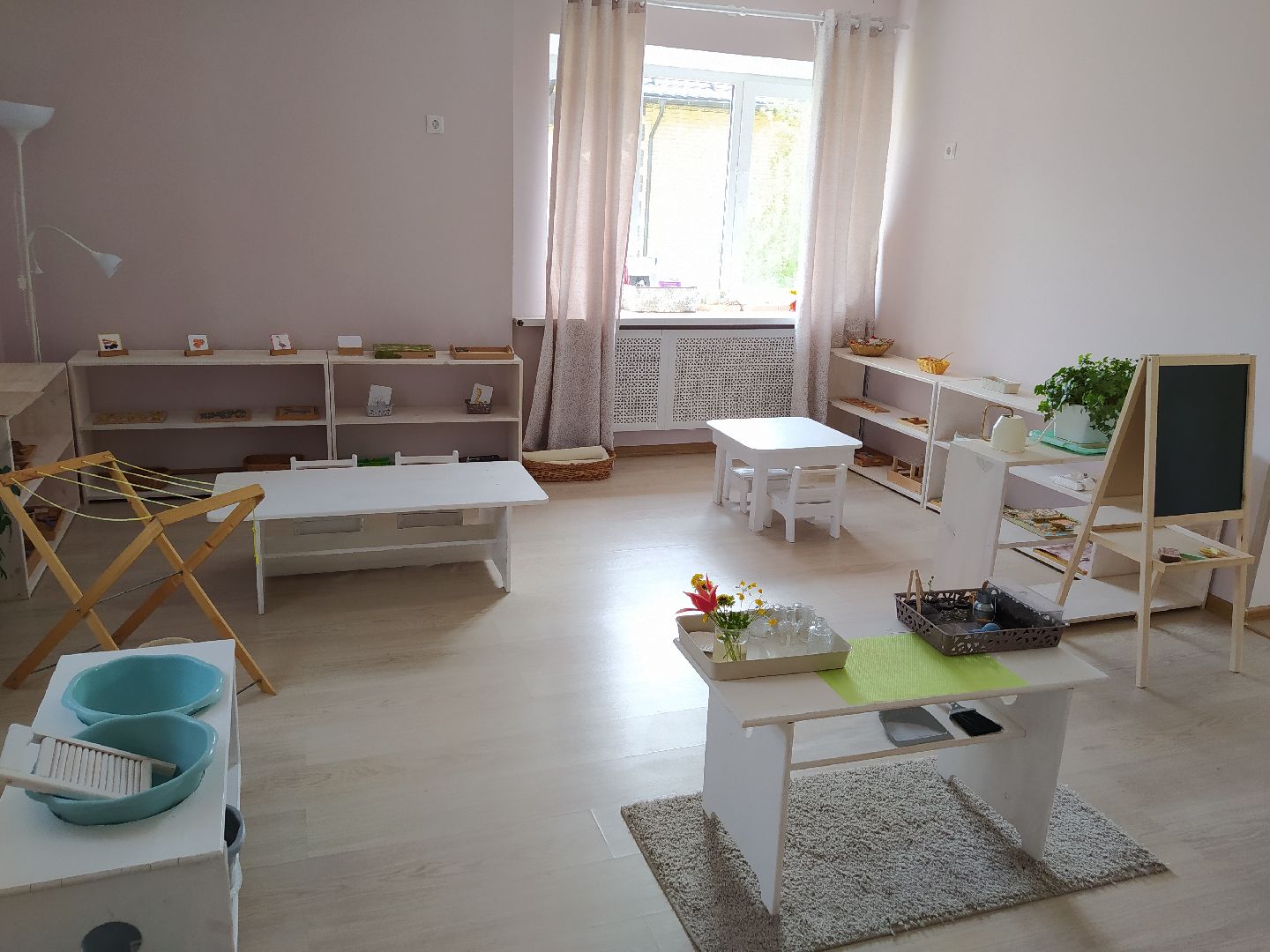 Дедовск, Монтессори, дети, лагерь