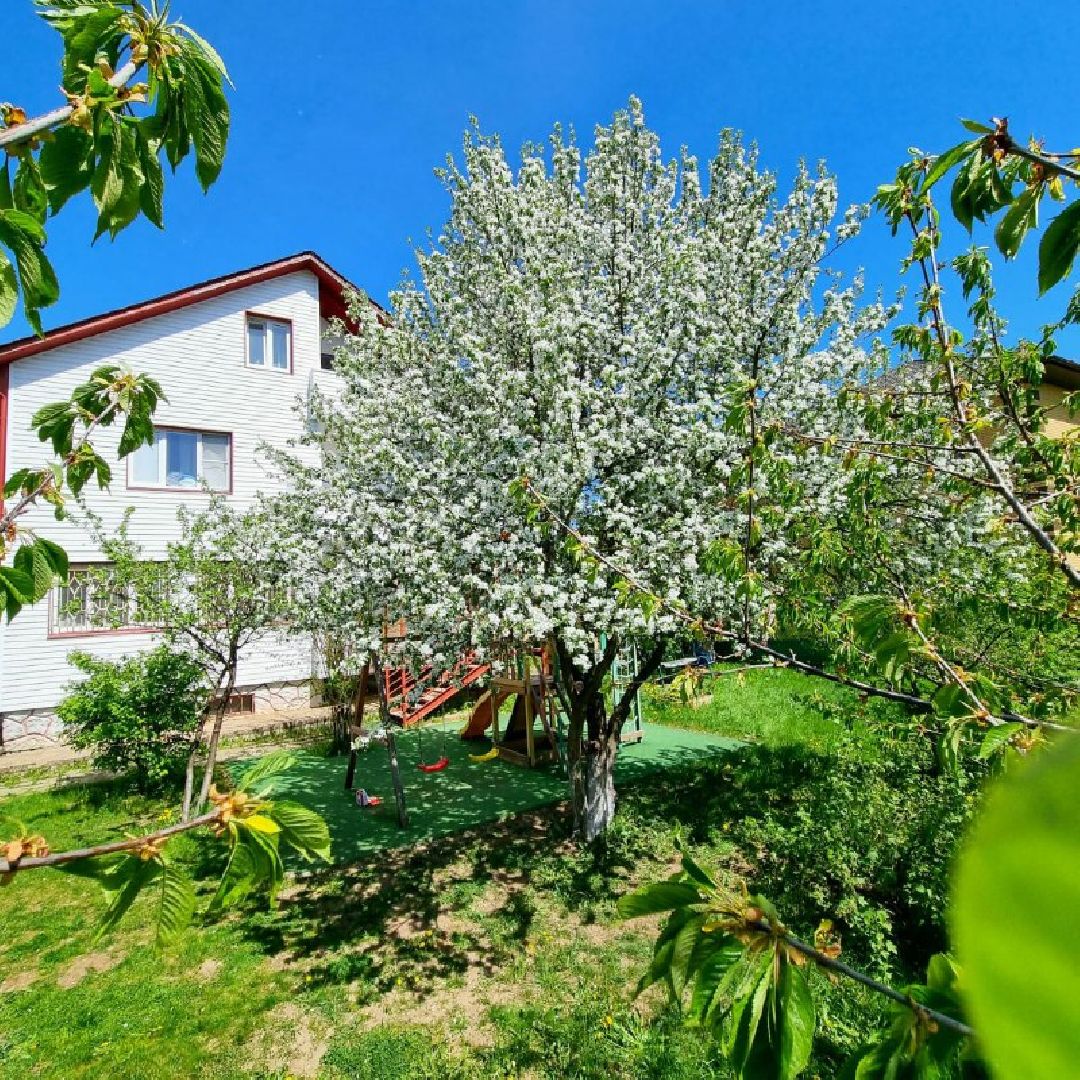 Дедовск, Монтессори, дети, лагерь