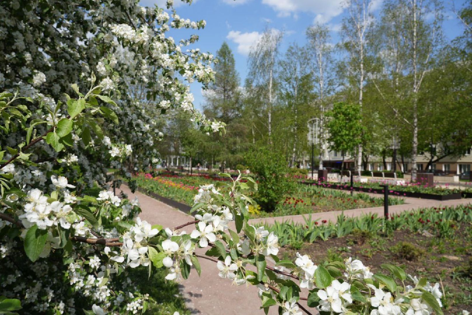 Сергиев Посад, Сергиево-Посадский городской округ, Красота, Природа, Весна, Общество, Жители, Фотосессия