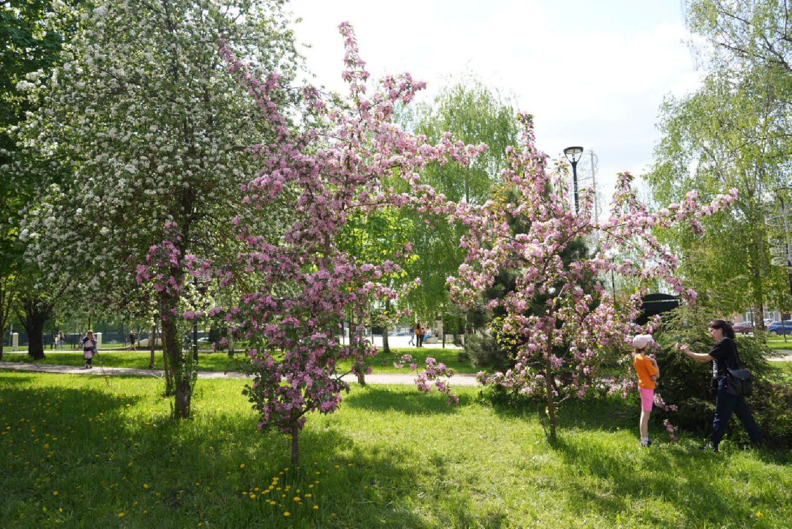 Сергиев Посад, Сергиево-Посадский городской округ, Красота, Природа, Весна, Общество, Жители, Фотосессия