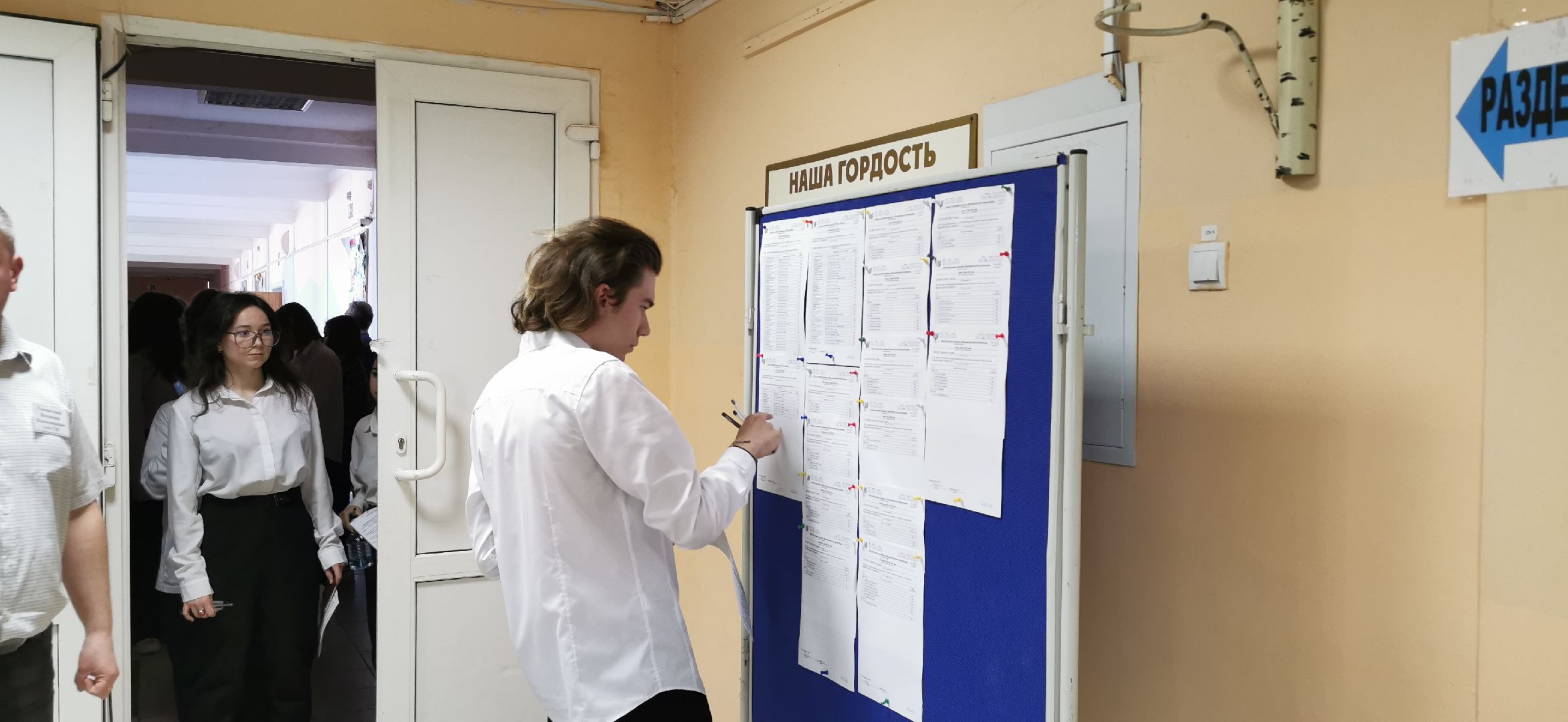 егэ, образование, выпускники, экзамены,