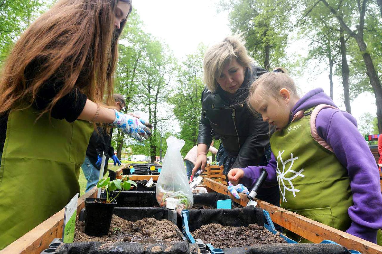 Сергиев Посад, Сергиево-Посадский городской округ, Общественный огород, Парковый ответ, Парки