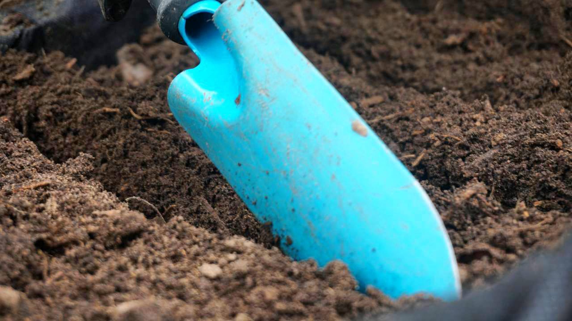 Сергиев Посад, Сергиево-Посадский городской округ, Общественный огород, Парковый ответ, Парки