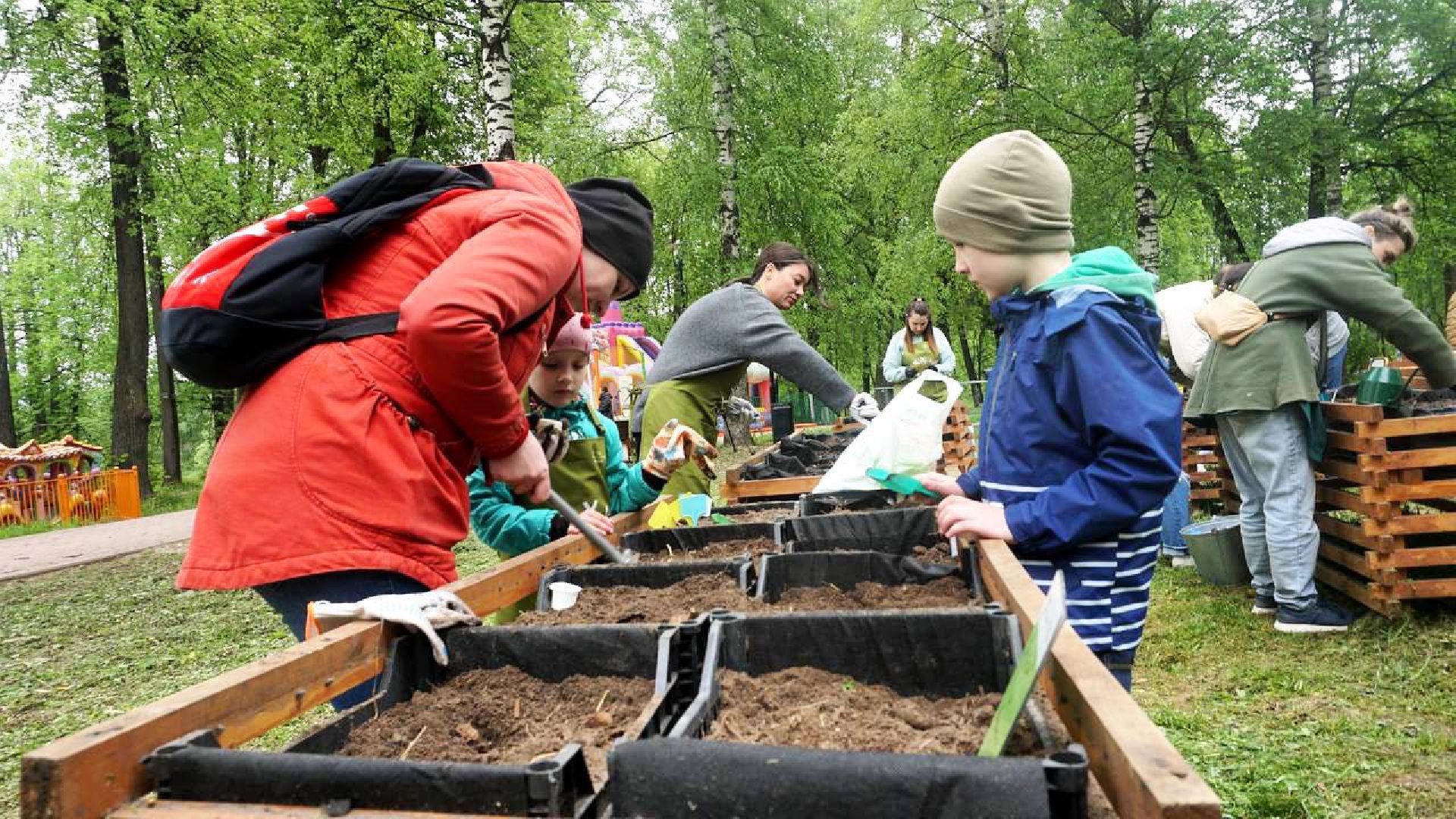 Сергиев Посад, Сергиево-Посадский городской округ, Общественный огород, Парковый ответ, Парки