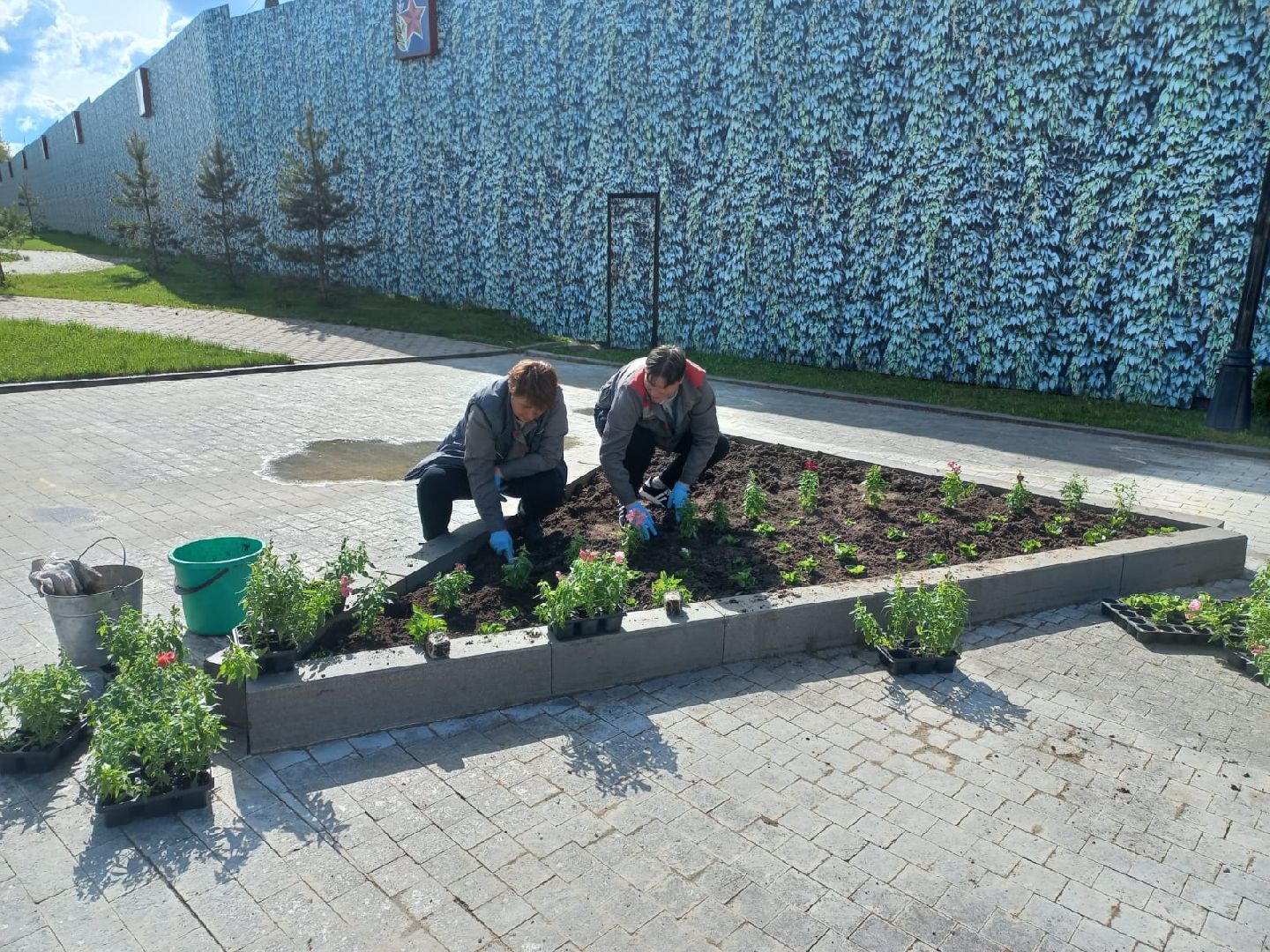 Шаховская, озеленение, благоустройство