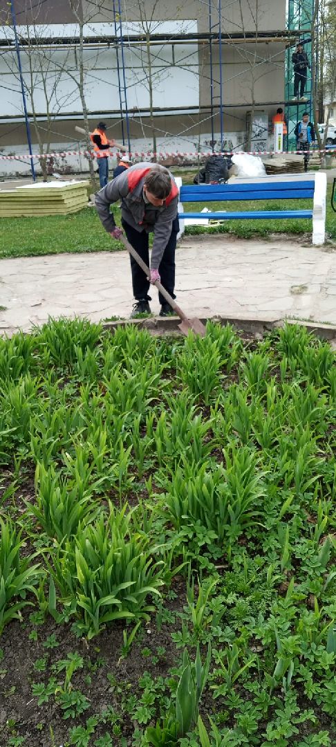 Шаховская, озеленение, благоустройство